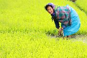 Foto: The Land of Shamans. Nishi and Apatani Tribes. Part 1
